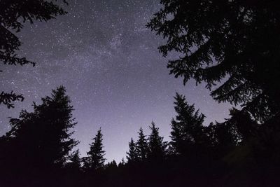 activite  Randonnée nocturne & initiation astronomie