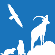 picto animaux